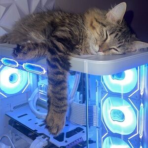 Meet your Posher, Kelleigh